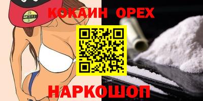 дмт Бердск