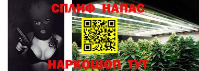 дмт Бердск