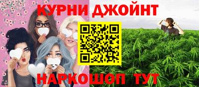 дмт Бердск
