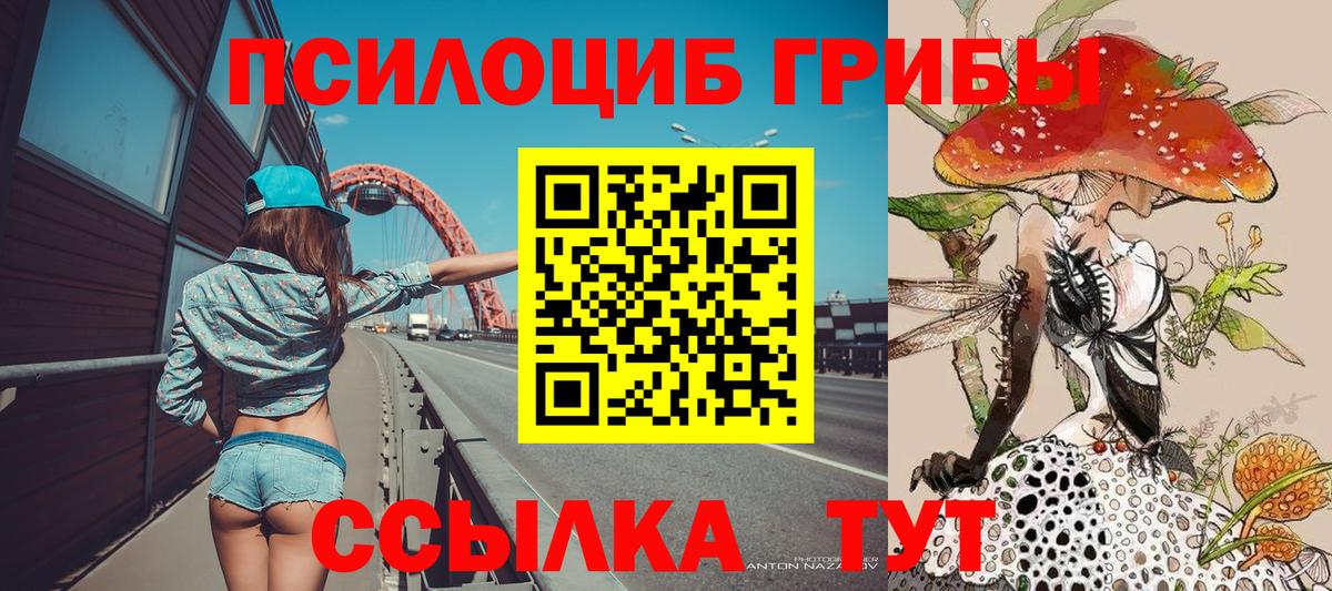 Верхняя Салда  Галлюциногенные грибы MAGIC MUSHROOMS  цены наркотик  Вход с VPN  Псилоцибиновые грибы мицелий 