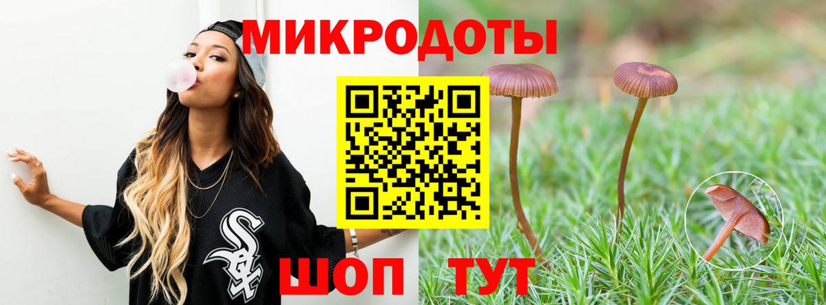 Галлюциногенные грибы мицелий Верхняя Салда